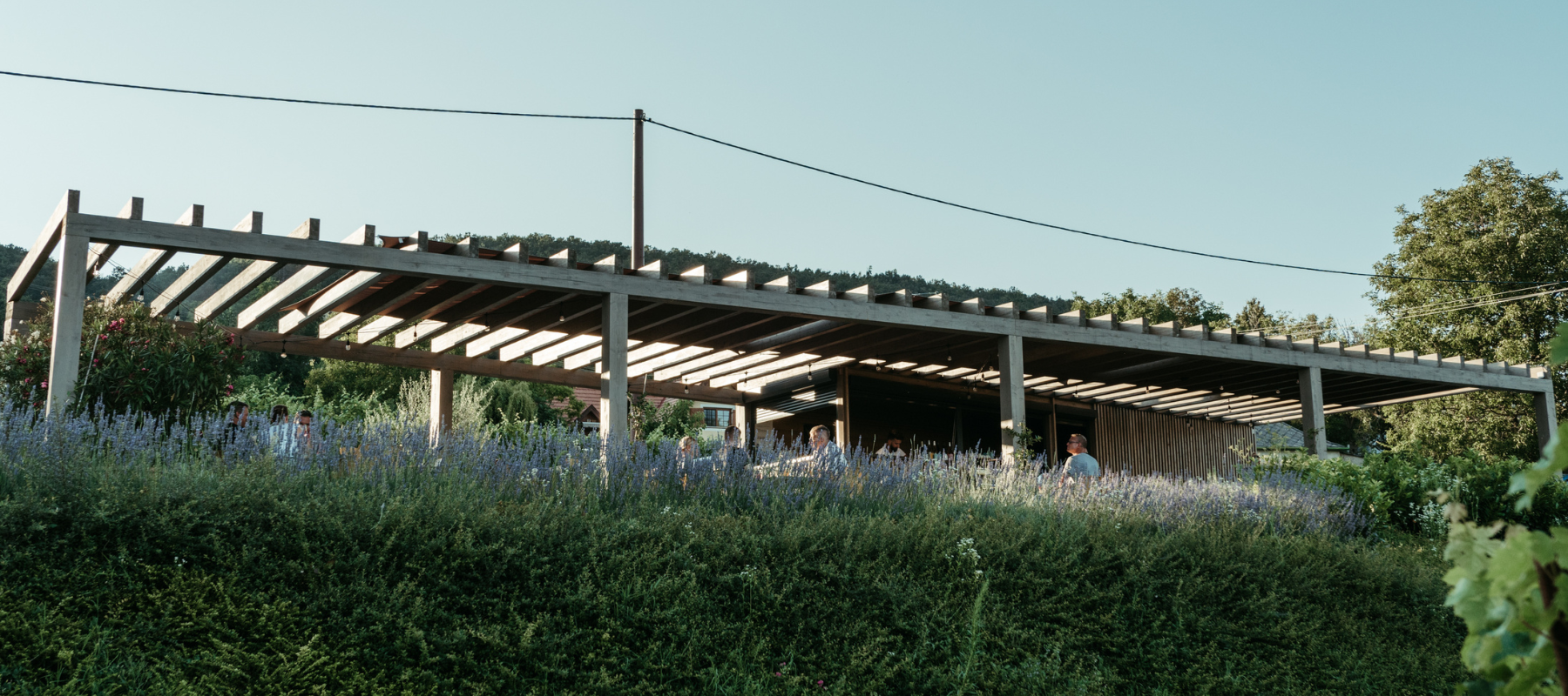 Martinus Borászat Borterasz